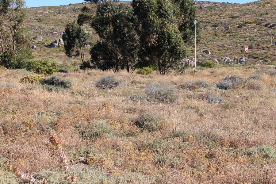 0 Bedroom Property for Sale in St Helena Views Western Cape